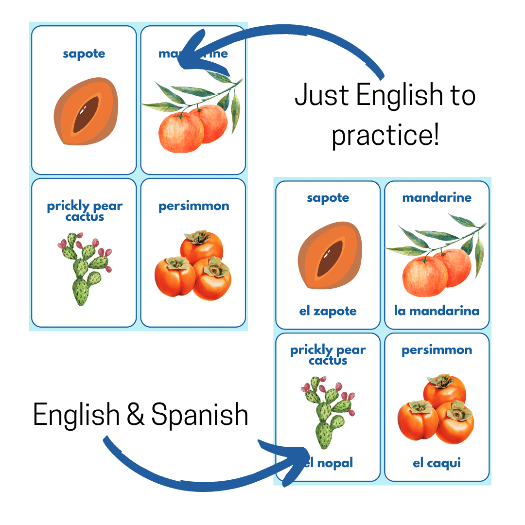 Spanish/English Fruit, Veggie and Herbs flashcards