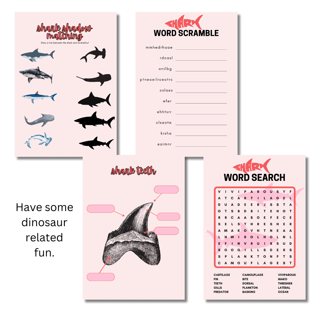 Let's Study: Sharks in Pink - Image 2