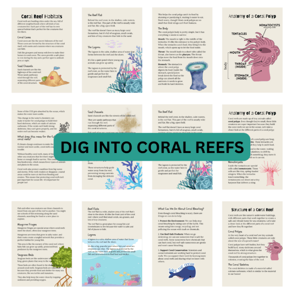 Coral Reef Unit Study - Digital Bakerie Shop