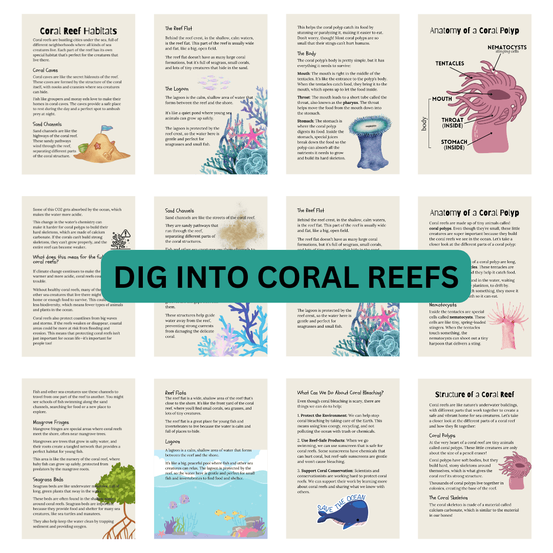 Coral Reef Unit Study - Image 3