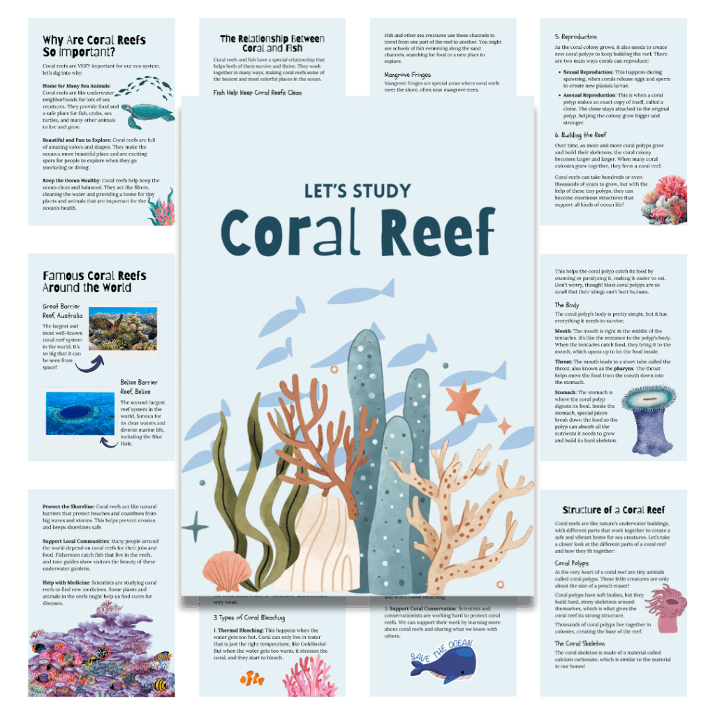Cover image for the coral reef in blue