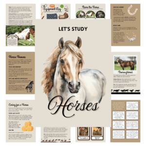 Cover image for horses in brown