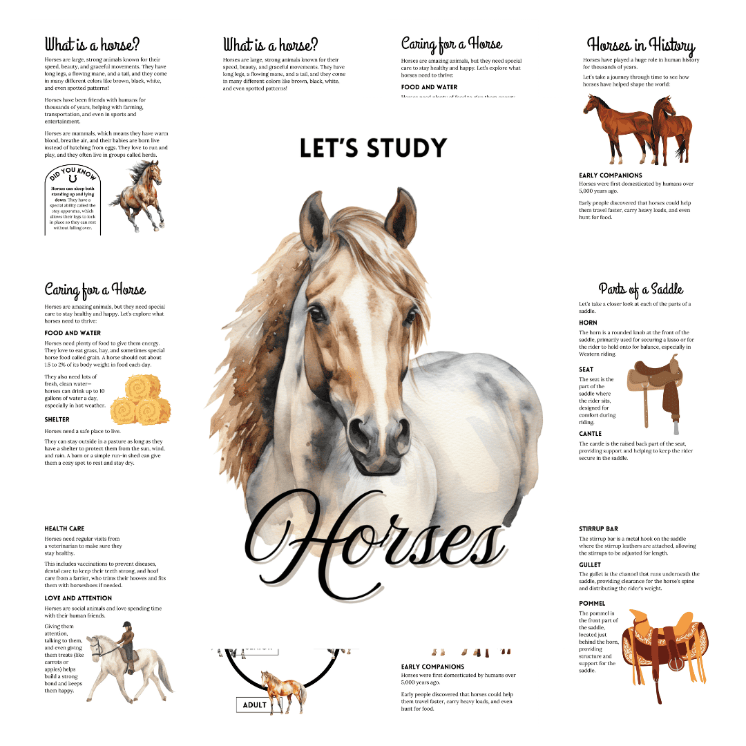 Unit Study: Horses (Brown, Pink & White Incl.) - Image 6