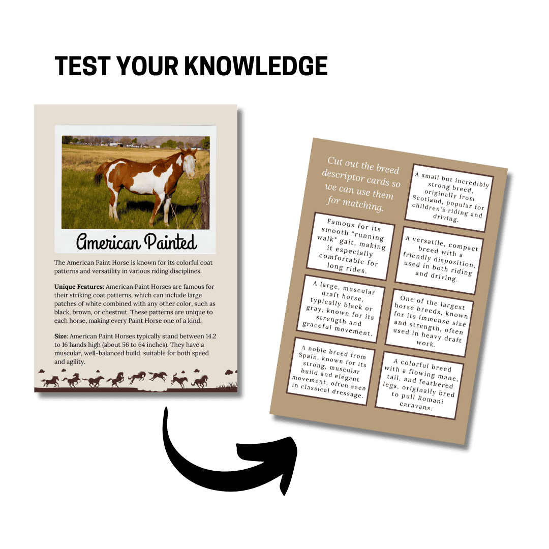 Unit Study: Horses (Brown, Pink & White Incl.) - Image 3