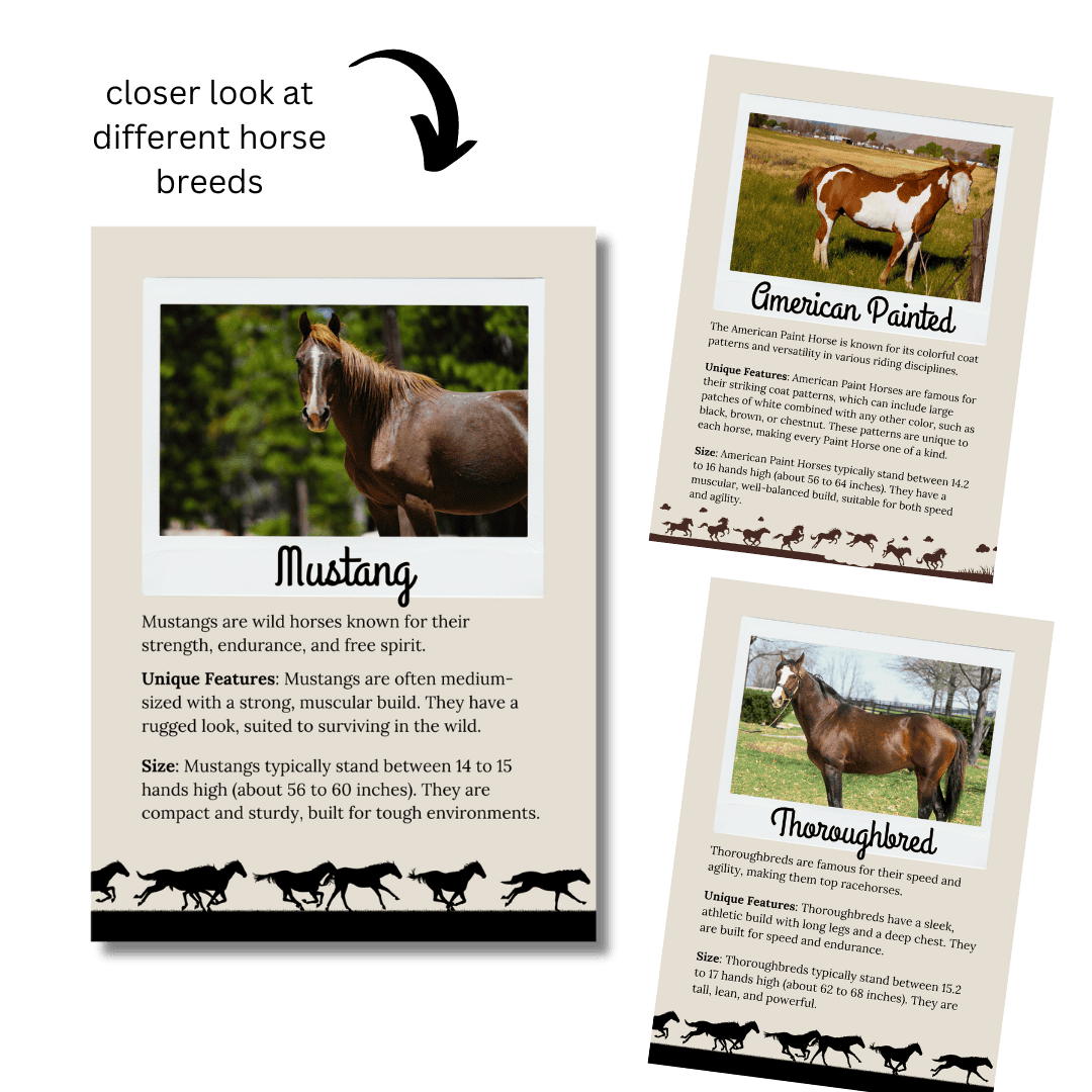 Unit Study: Horses (Brown, Pink & White Incl.) - Image 4