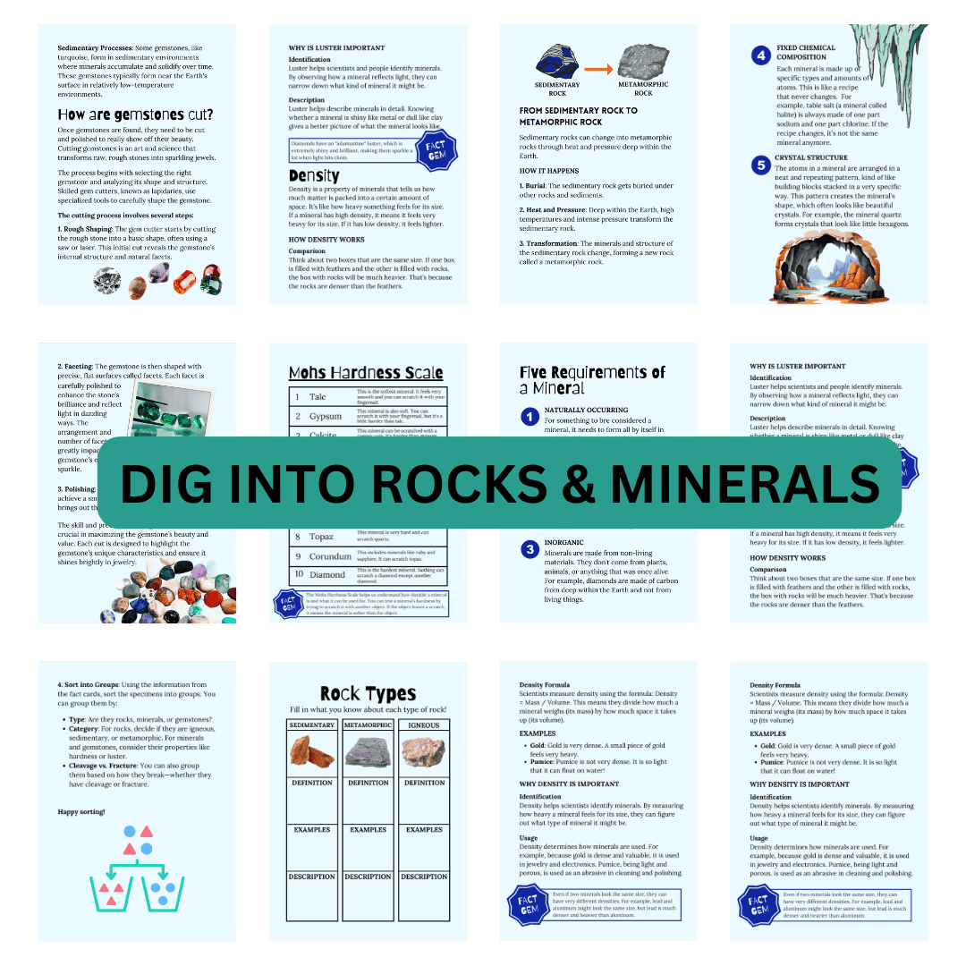 Let’s Study: Rocks & Minerals in Blue - Image 3