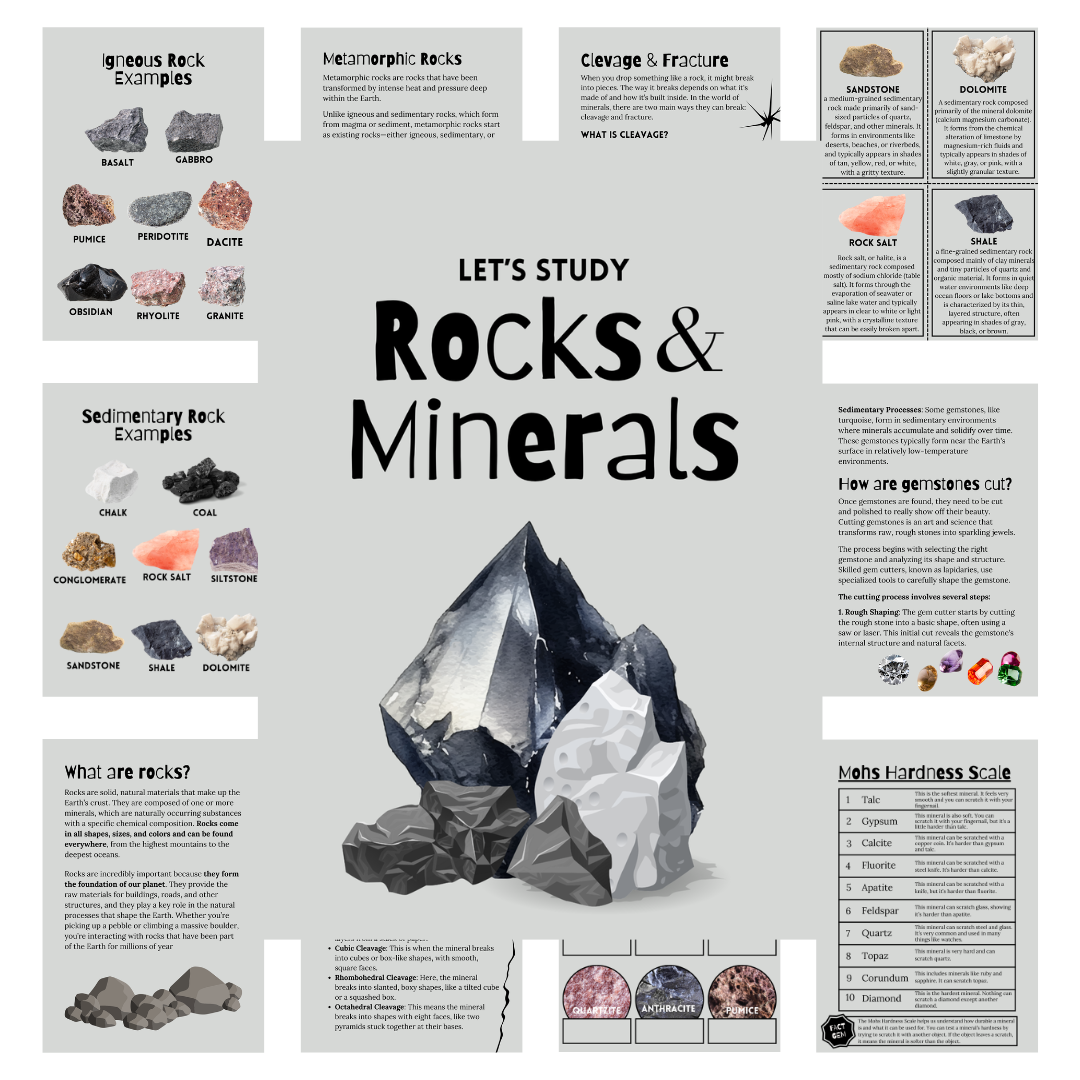 Cover image for rocks and minerals in gray