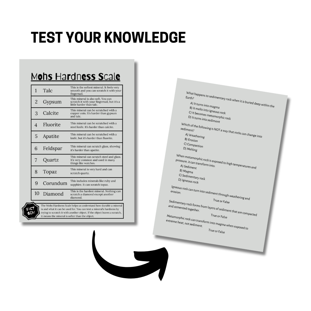 Let’s Study: Rocks & Minerals in Gray - Image 5