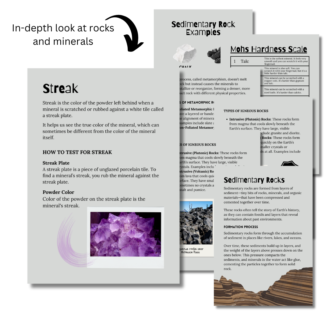 Let’s Study: Rocks & Minerals in Gray - Image 4