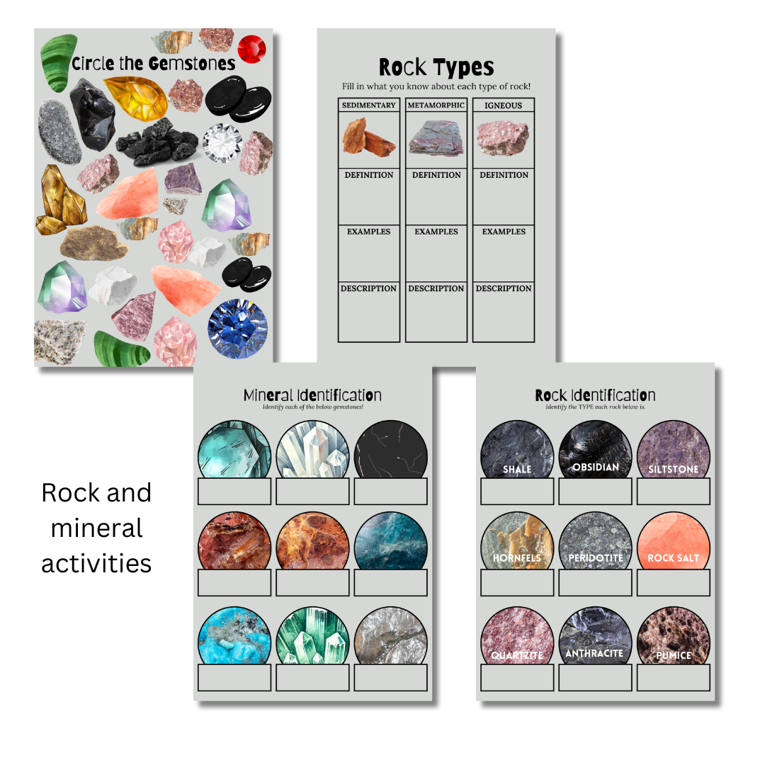 Let’s Study: Rocks & Minerals in Gray - Image 3