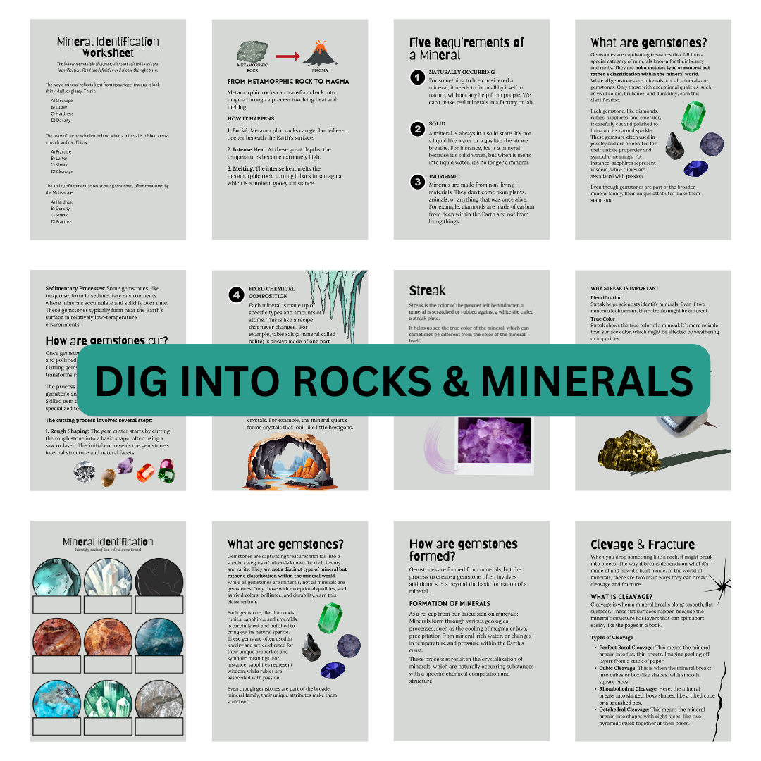 Let’s Study: Rocks & Minerals in Gray - Image 2