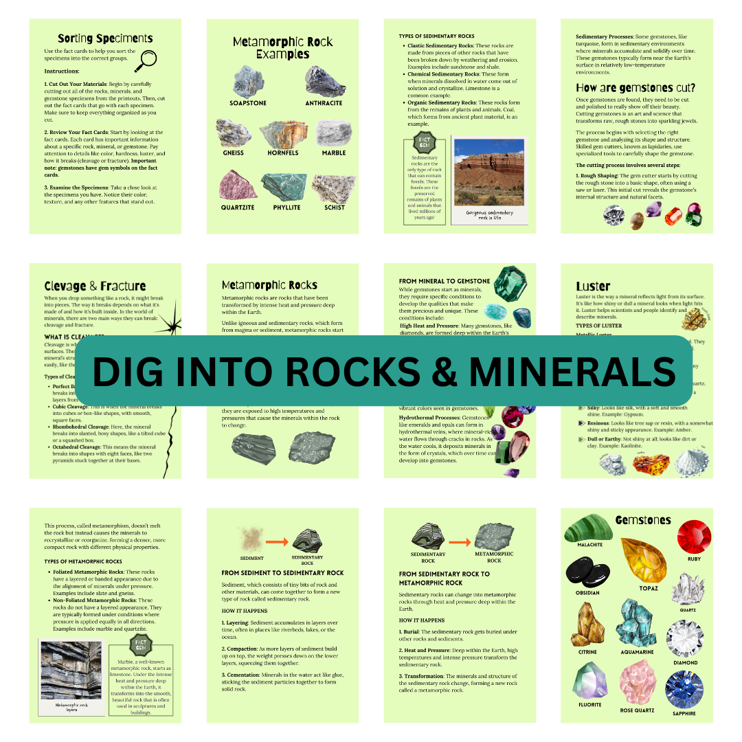 Let’s Study: Rocks & Minerals in Green - Image 2