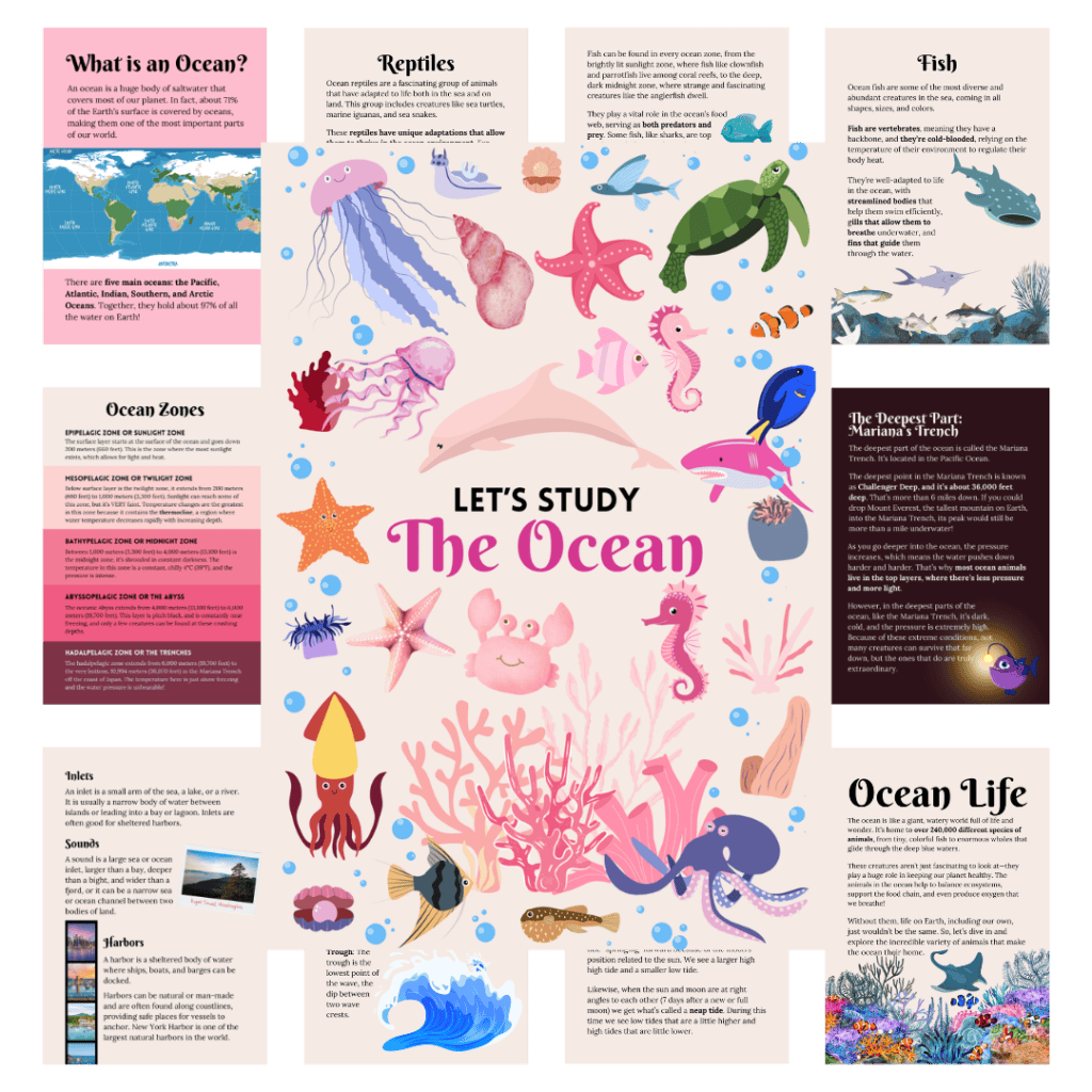 Cover image for pink ocean study