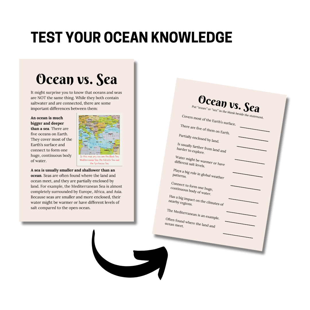 Let’s Study: The Ocean in Pink - Image 2