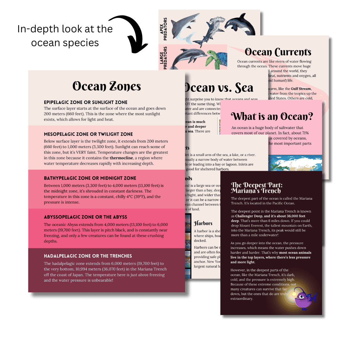 Let’s Study: The Ocean in Pink - Image 5