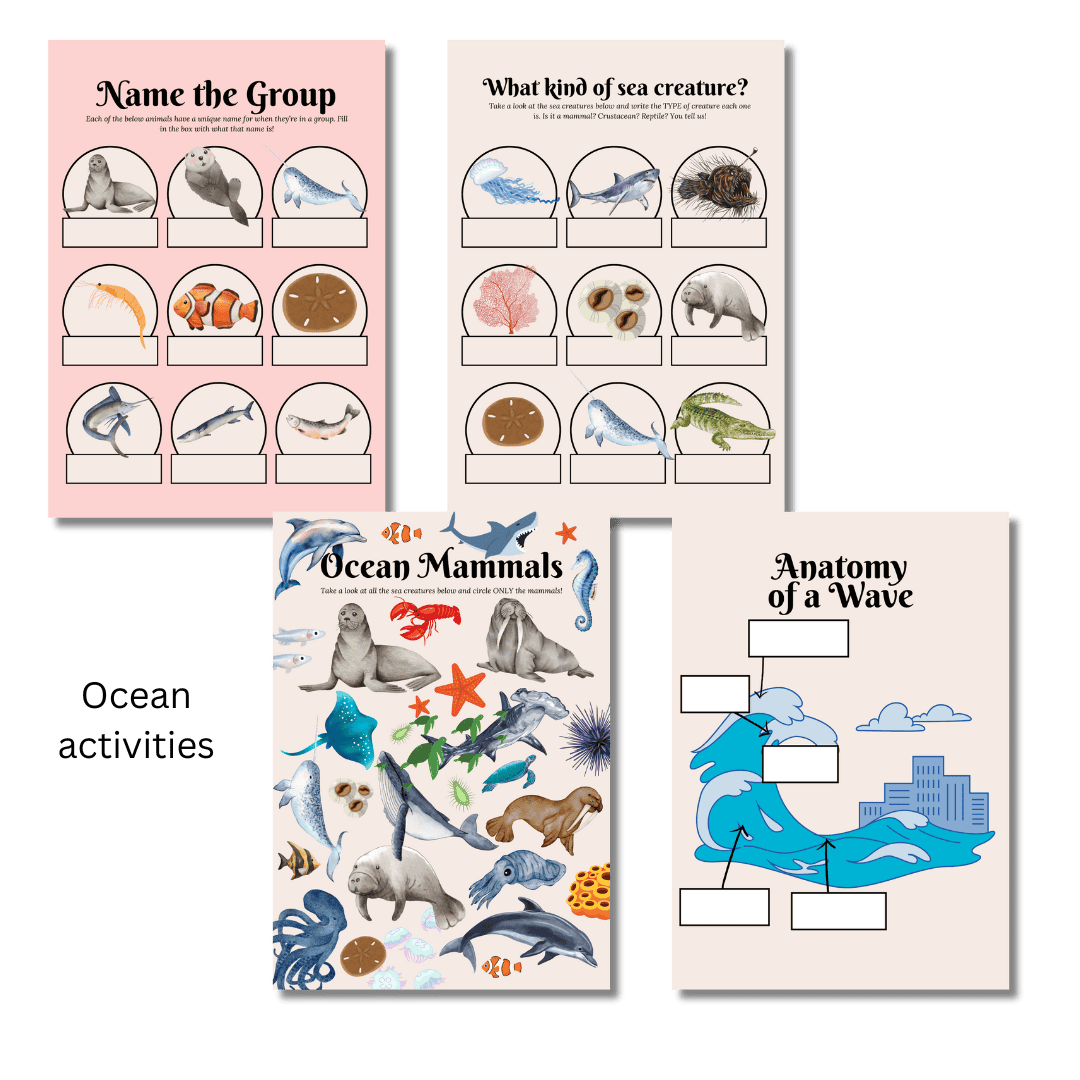 Let’s Study: The Ocean in Pink - Image 4