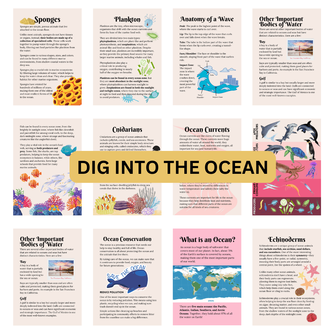Let’s Study: The Ocean in Pink - Image 3