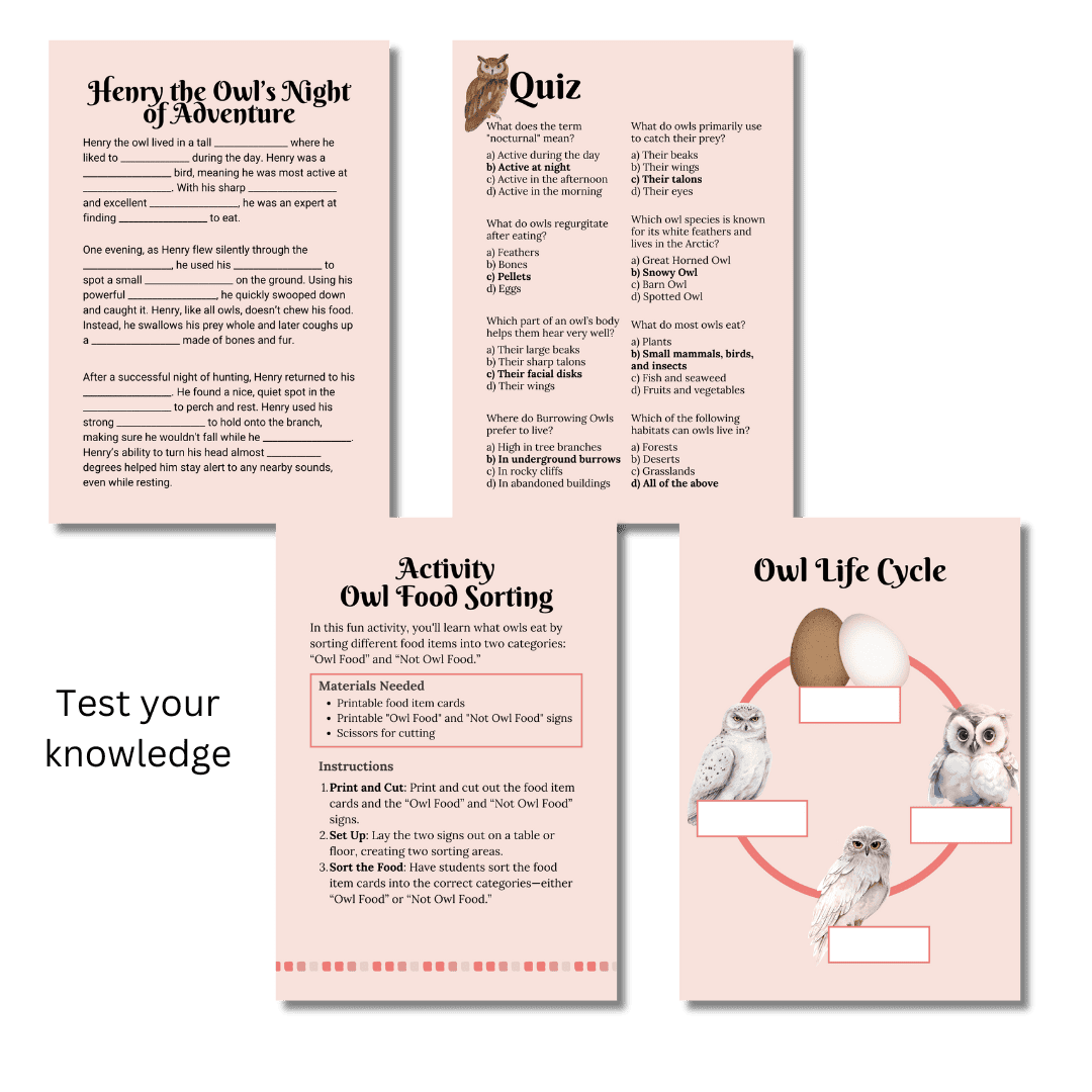 Unit Study: Owls (Pink, Brown, White, incl.) - Image 2