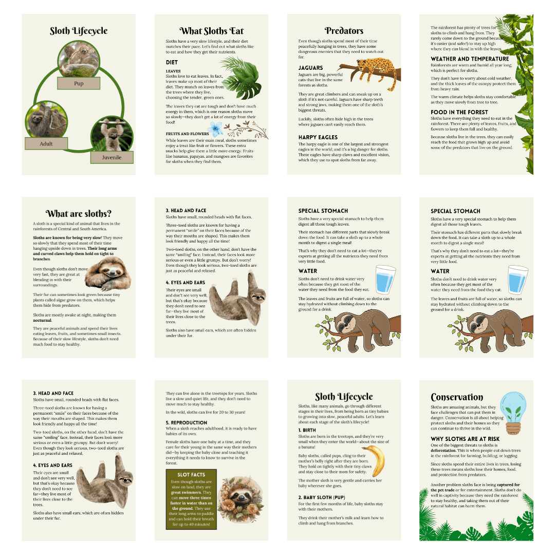 Unit Study: Sloths (Green, Brown, White, incl.) - Image 7