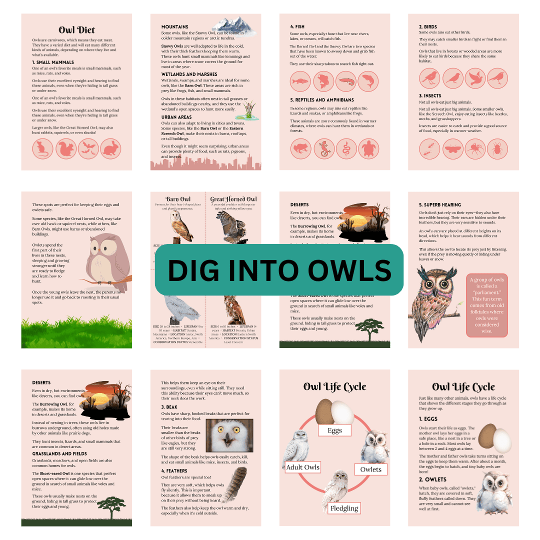 Unit Study: Owls (Pink, Brown, White, incl.) - Image 5