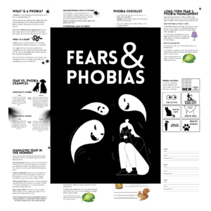 Cover image for blakc and white fears and phobias workbook and matching game.