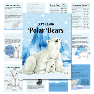 Polar bears cover page