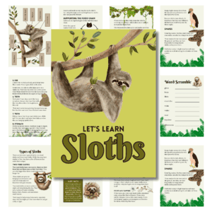 Unit Study: Sloths (Green, Brown, White, incl.)