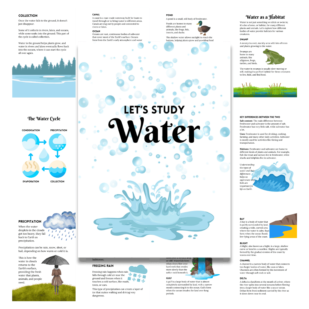 Unit Study: Water (Light Blue, Green & White Incl.) - Image 7