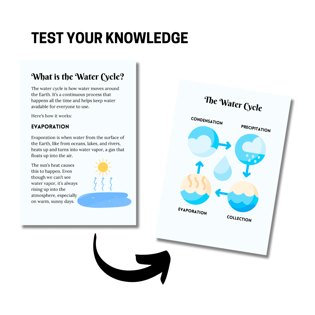 Unit Study: Water (Light Blue, Green & White Incl.) - Image 6