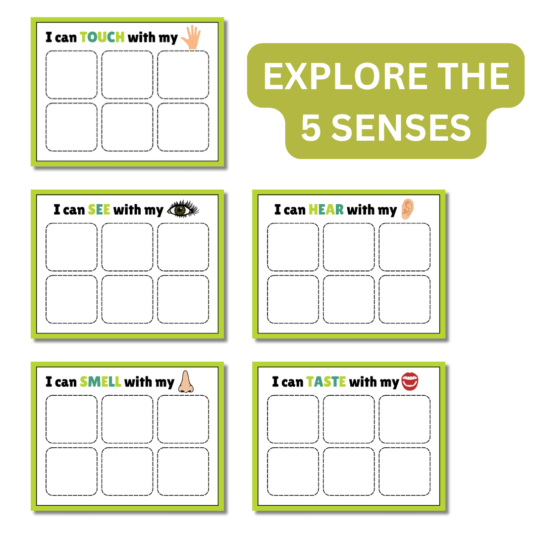 Busy Activity: 5 Senses Matching - Image 2