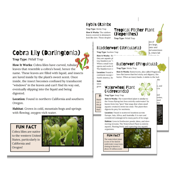 Unit Study: Carnivorous Plants - Digital Bakerie Shop