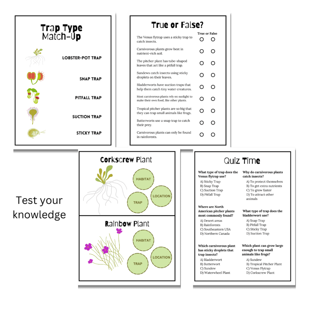 Unit Study: Carnivorous Plants - Digital Bakerie Shop
