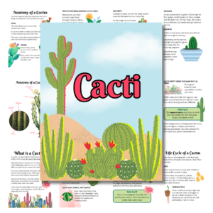 Cover image for cacti unit study