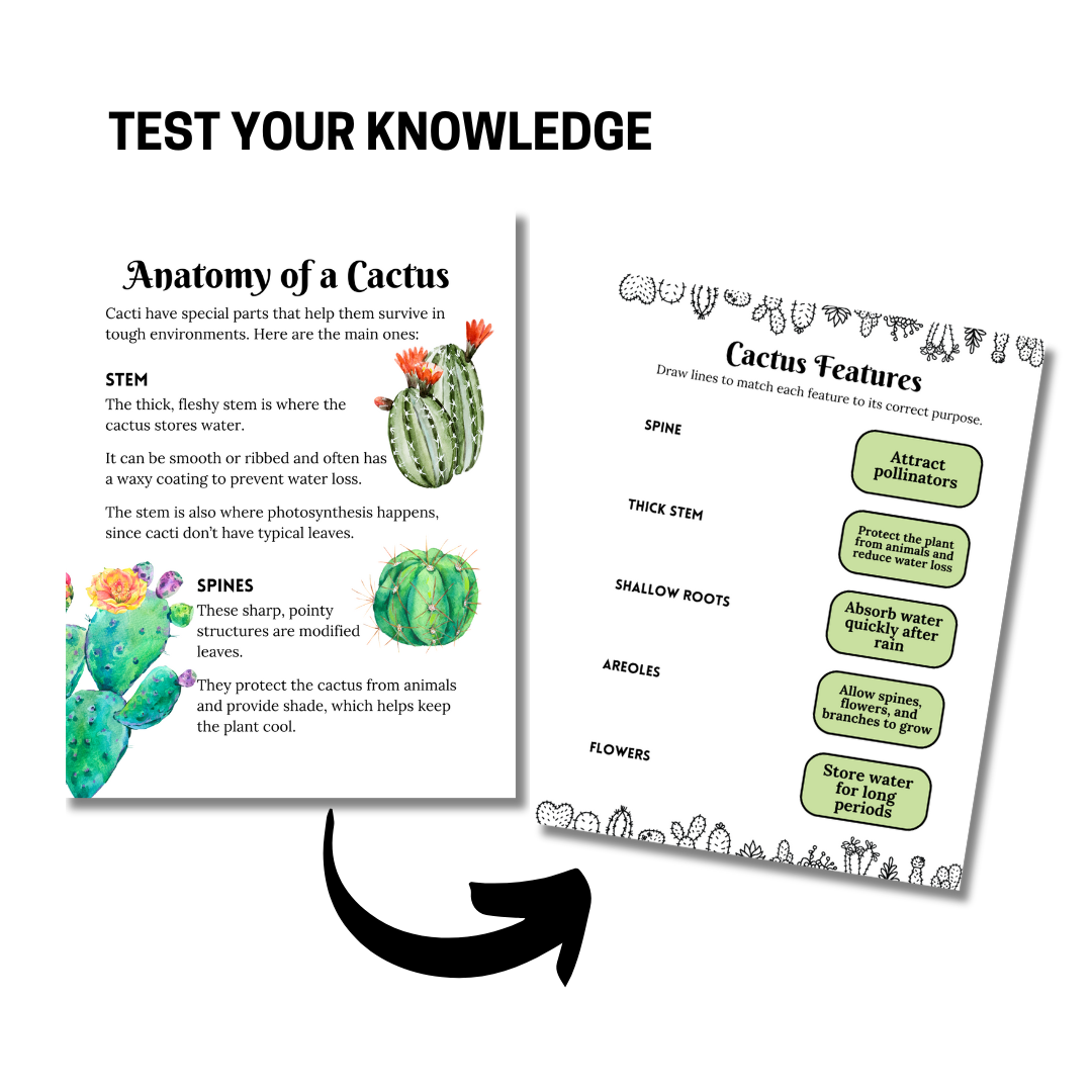 Unit Study: Cacti - Image 2