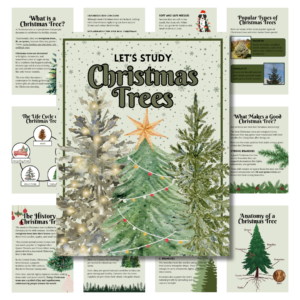 Cover image for the Christmas Trees Unit Study