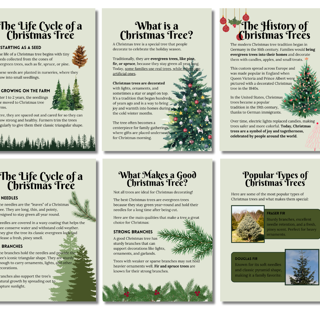 Unit Study: Christmas Trees - Image 5