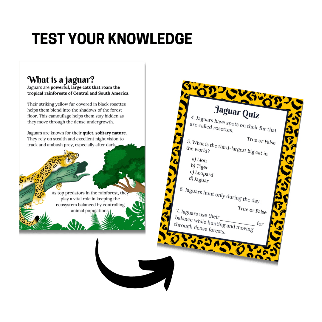 Mini Study: Jaguars - Image 2