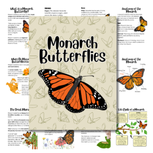 Cover image for monarch butterflies study