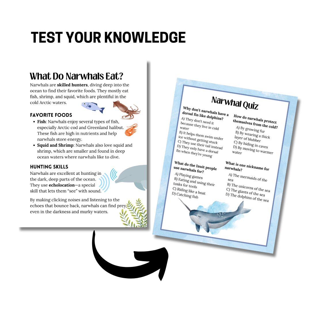 Unit Study: Narwhals - Image 2