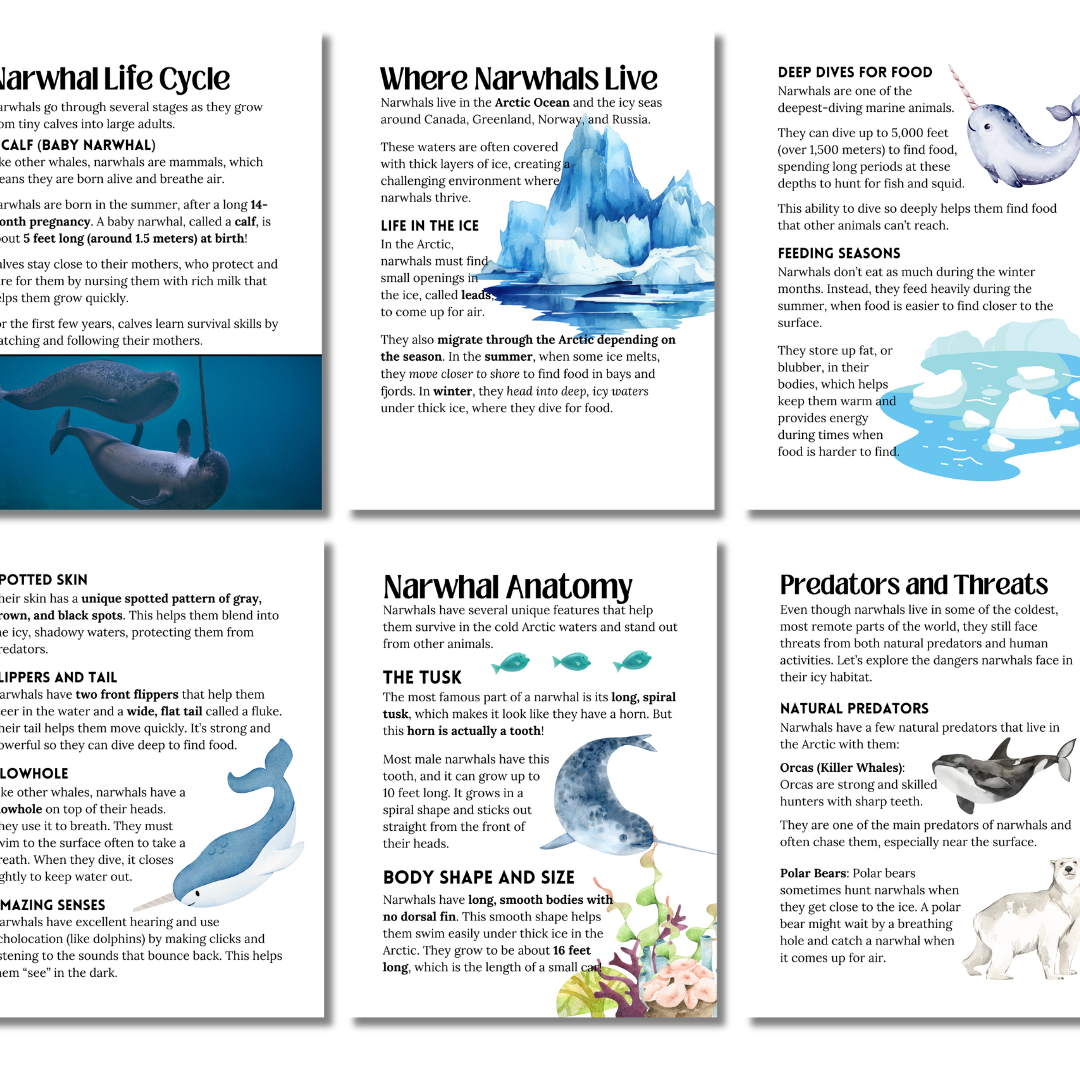 Unit Study: Narwhals - Image 5