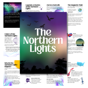 Cover image for The Northern Lights Unit Study