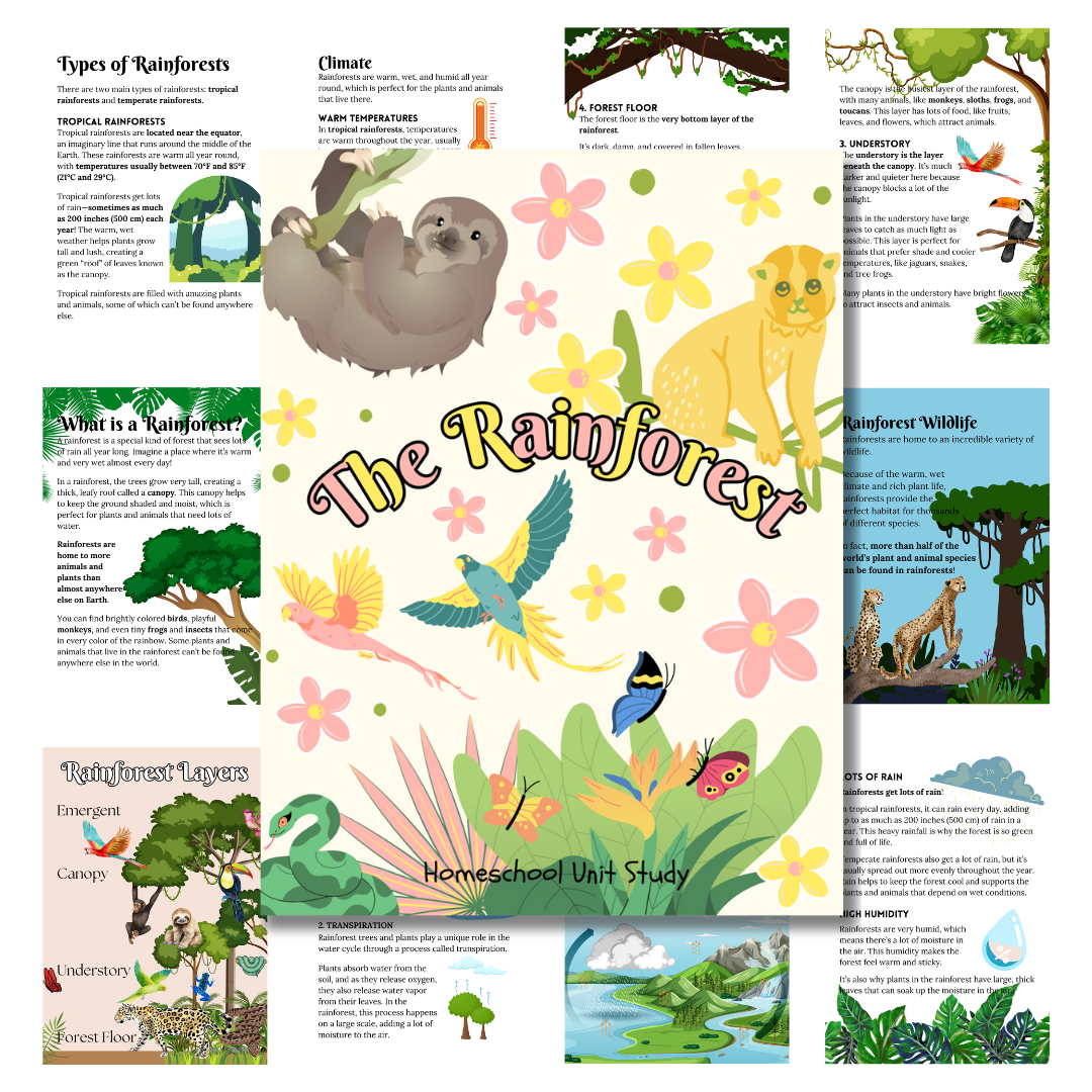 Cover image for the rainforest pastel