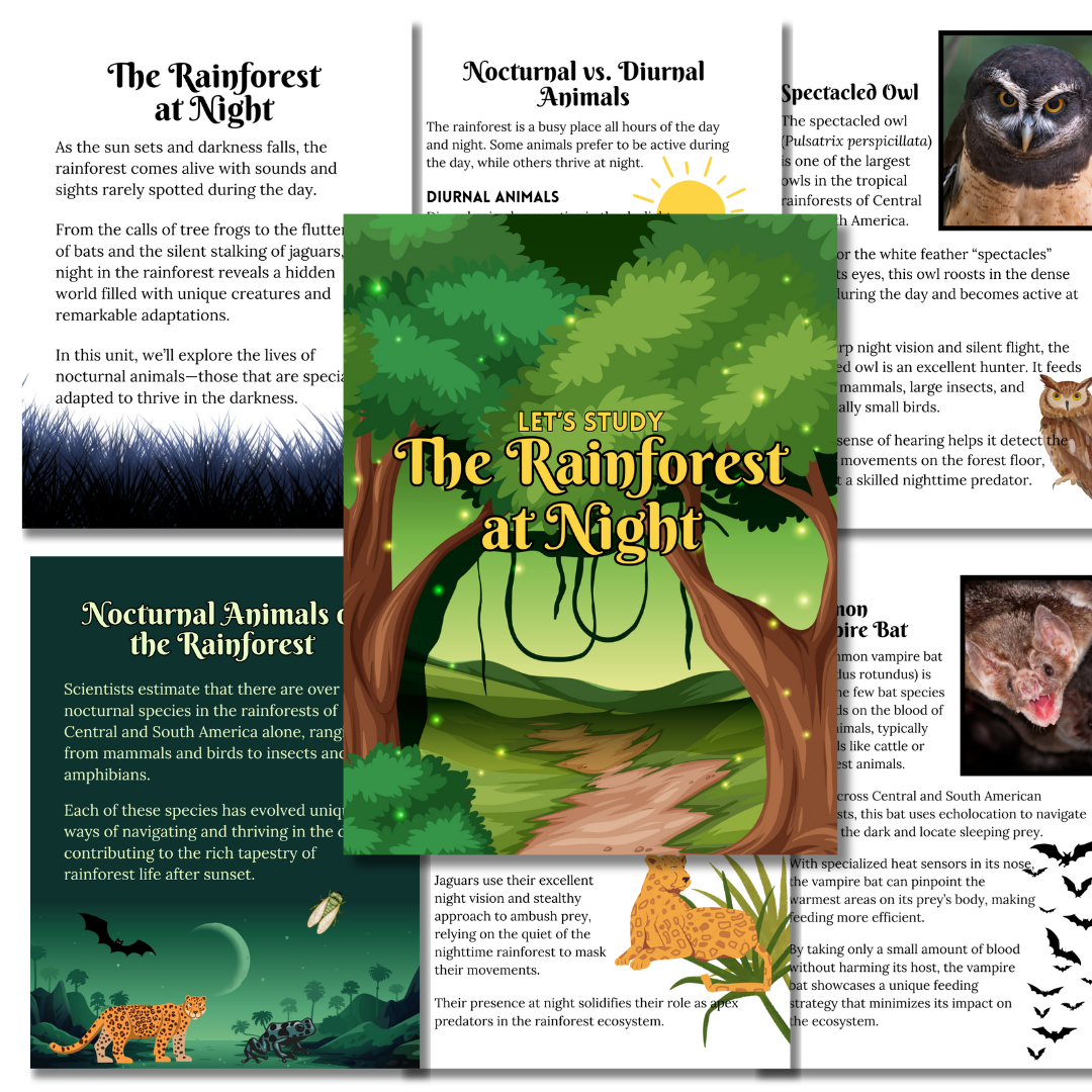 Rainforest Study Bundle in Yellow - Image 9