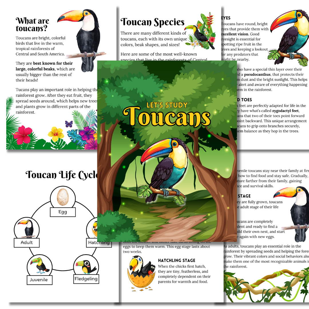 Rainforest Study Bundle in Yellow - Image 8