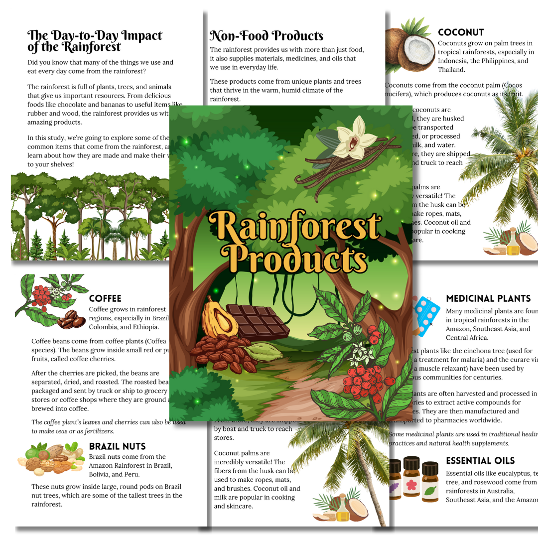 Rainforest Study Bundle in Yellow - Image 5