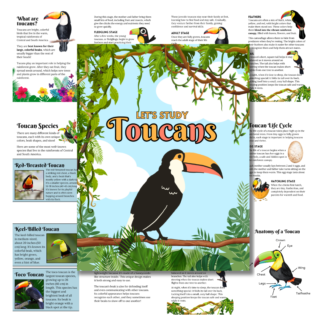 Unit Study: Toucans - Image 6