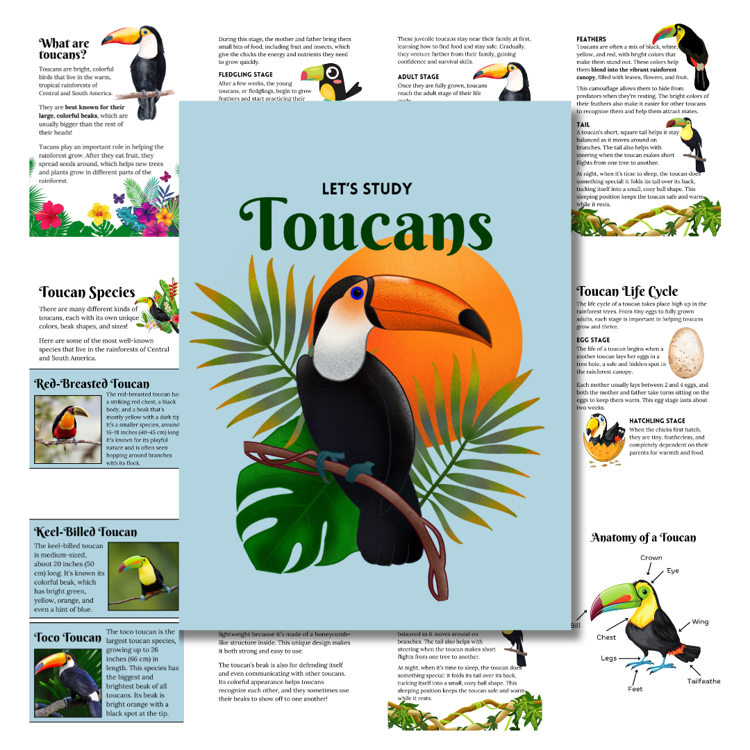 Cover image of the blue Toucans unit study.