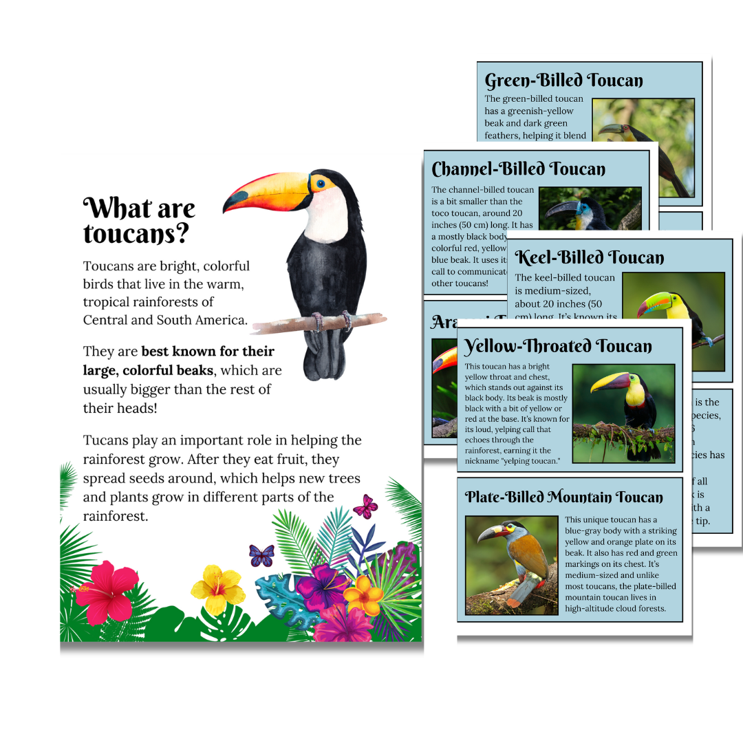 Unit Study: Toucans - Image 4