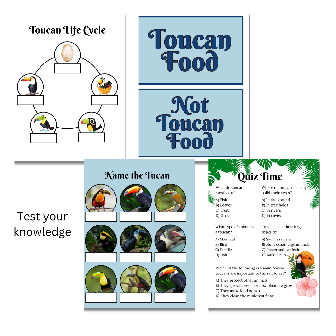 Unit Study: Toucans - Image 3