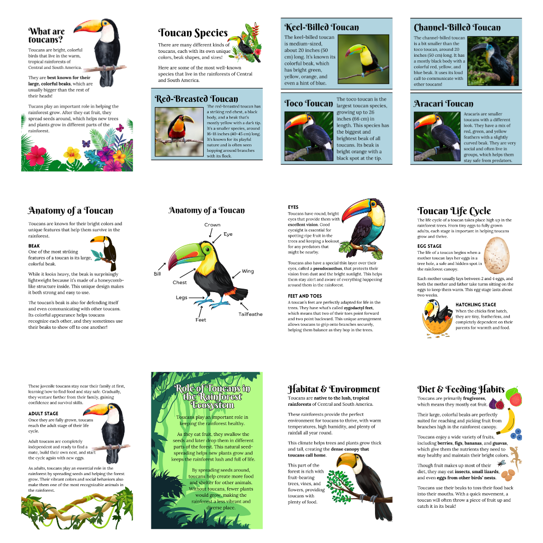 Unit Study: Toucans - Image 2